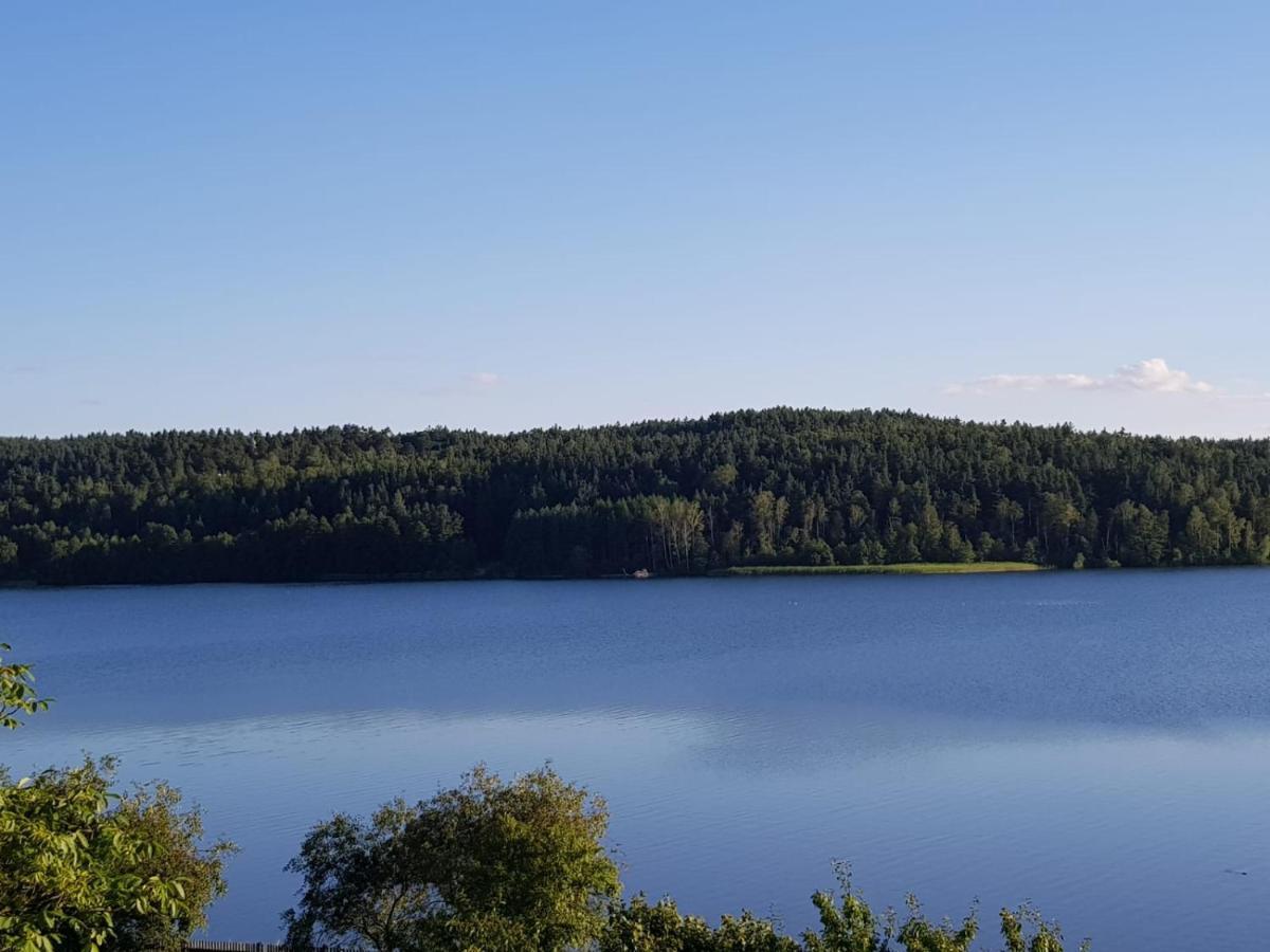 Apartament Aleksandra We Wielu Z Widokiem Na Jezioro Wiele Extérieur photo